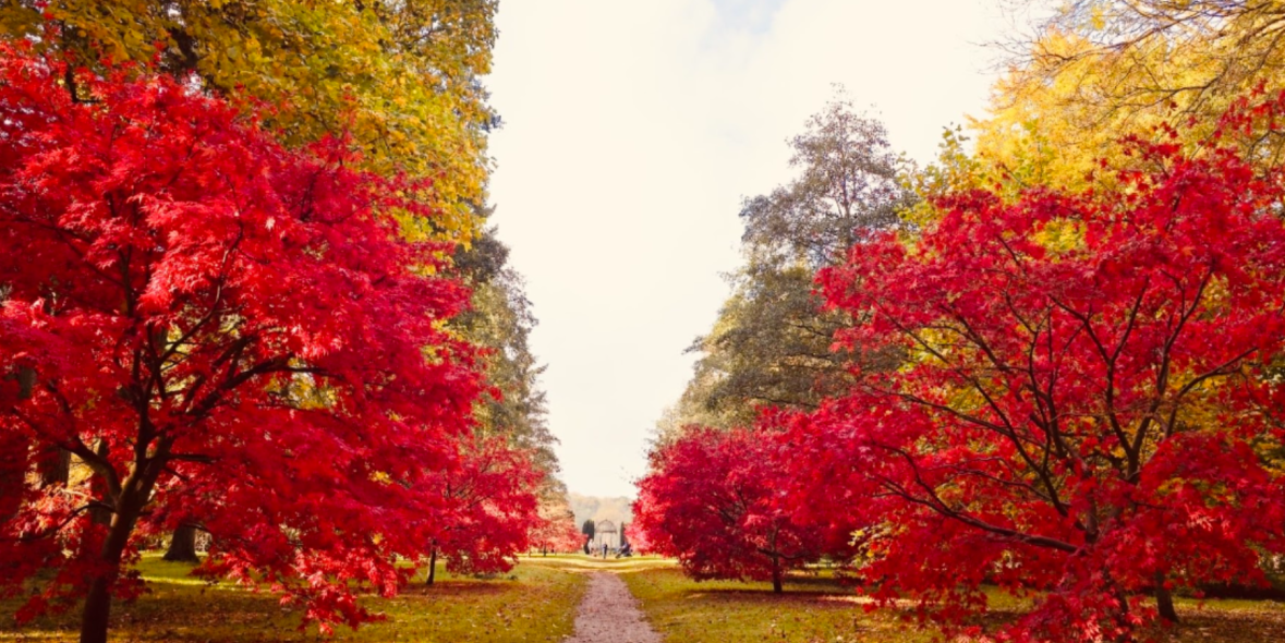 Thorp Perrow Arboretum